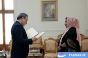 عکس: دیدار سفرای جدید ایرانی و خارجی با عراقچی