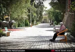 تابناک