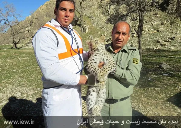 تابناک
