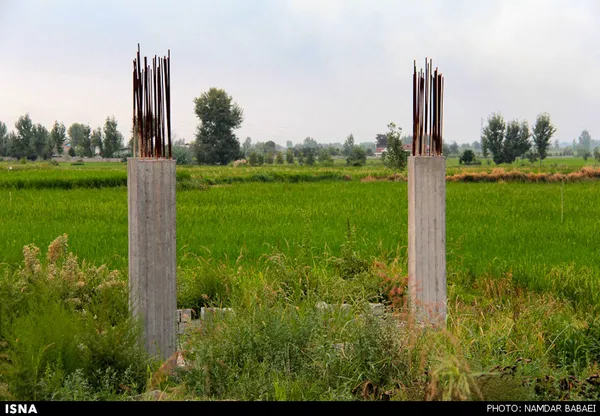 سرعت شتابان تغییر کاربری کشتزار&zwnj;های برنج شمال از کشاورزی به مسکونی و تجاری
چهارشنبه 20 شهریور

