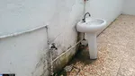 تابناک