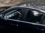 شکست بی‌ام‌و از پژو 206 در یک چالش!