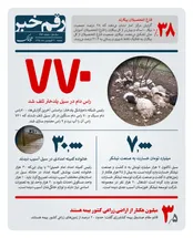 چند درصد فارغ التحصیلان بیکارند؟