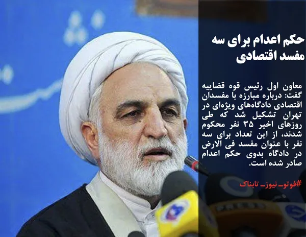 معاون اول رئیس قوه قضاییه گفت: درباره مبارزه با مفسدان اقتصادی دادگاه&zwnj;های ویژه&zwnj;ای در تهران تشکیل شد که طی روز&zwnj;های اخیر ۳۵ نفر محکوم شدند، از این تعداد برای سه نفر با عنوان مفسد فی الارض در دادگاه بدوی حکم اعدام صادر شده است.
