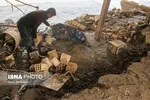 تابناک