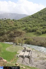 تابناک