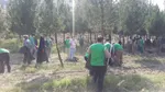 تابناک