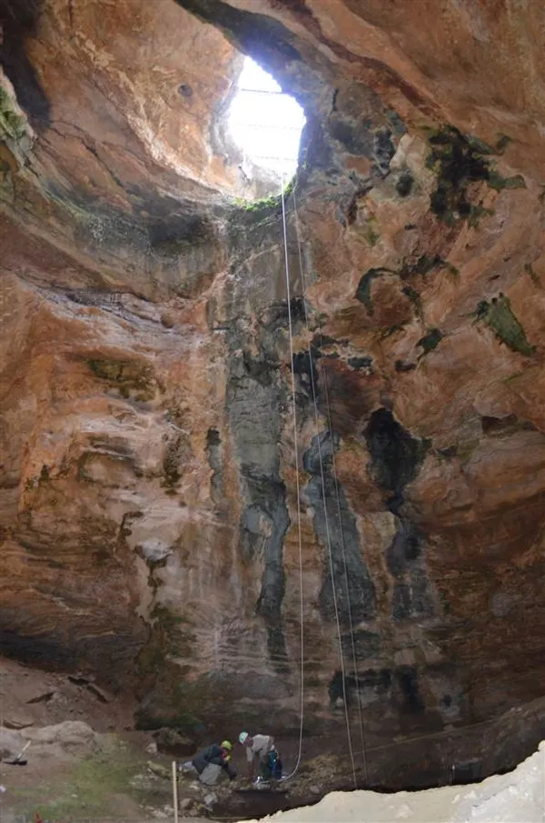 باستان شناسان آمریکایی در مناطق کوهستانی غرب ایالات متحده (وایومینگ) پس از حفاری به یک گنجینه ای نادر از فسیل های پستانداران عصر یخبندان و صدها استخوان از حیوانات ماقبل تاریخ از جمله یوزپلنگ آمریکایی دست یافته اند./AP
