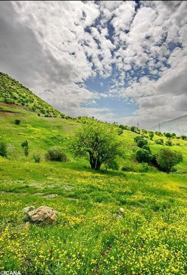 طبیعت کردستان
