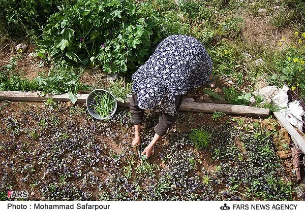 زندگی در روستای رویین اسفراین