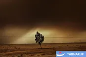 عکس: جنگ عراق ۲۰۰۳ در قاب دوربین فرانچسکو زیزولا