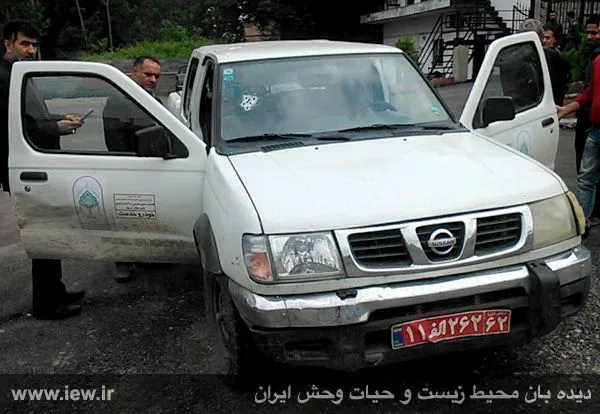 تابناک