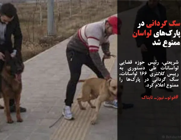 شریعتی، رئیس حوزه قضایی لواسانات طی دستوری به رییس کلانتری ۱۶۶ لواسانات، سگ گردانی در پارک&zwnj;ها را ممنوع اعلام کرد.
