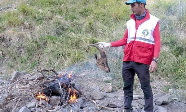 تابناک.