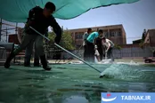 عکس: راه‌اندازی کارگاه قالیشویی گروه‌های جهادی