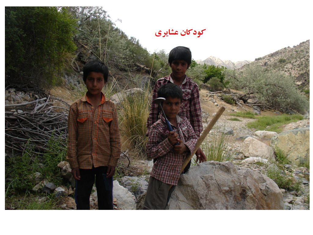 تابناک