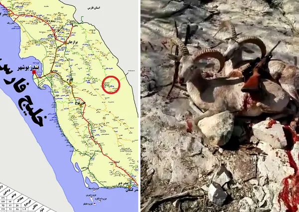 تابناک
