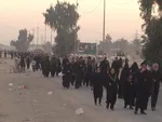 تابناک