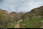 تابناک