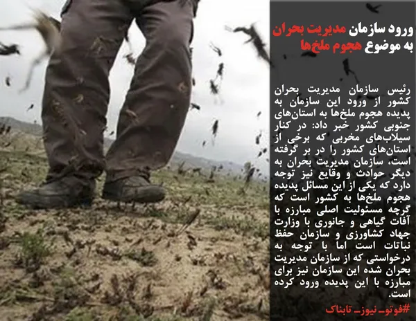 رئیس سازمان مدیریت بحران کشور از ورود این سازمان به پدیده هجوم ملخ&zwnj;ها به استان&zwnj;های جنوبی کشور خبر داد: در کنار سیلاب&zwnj;های مخربی که برخی از استان&zwnj;های کشور را در بر گرفته است، سازمان مدیریت بحران به دیگر حوادث و وقایع نیز توجه دارد که یکی از این مسائل پدیده هجوم ملخ&zwnj;ها به کشور است که گرچه مسئولیت اصلی مبارزه با آفات گیاهی و جانوری با وزارت جهاد کشاورزی و سازمان حفظ نباتات است اما با توجه به درخواستی که از سازمان مدیریت بحران شده این سازمان نیز برای مبارزه با این پدیده ورود کرده است.
