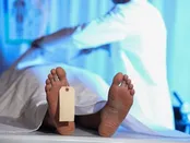 قتل یک مرد مجرد در خانه‌اش توسط یک آشنا