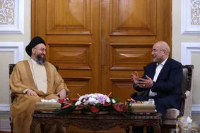 جزئیات دیدار و گفتگوی حکیم با قالیباف