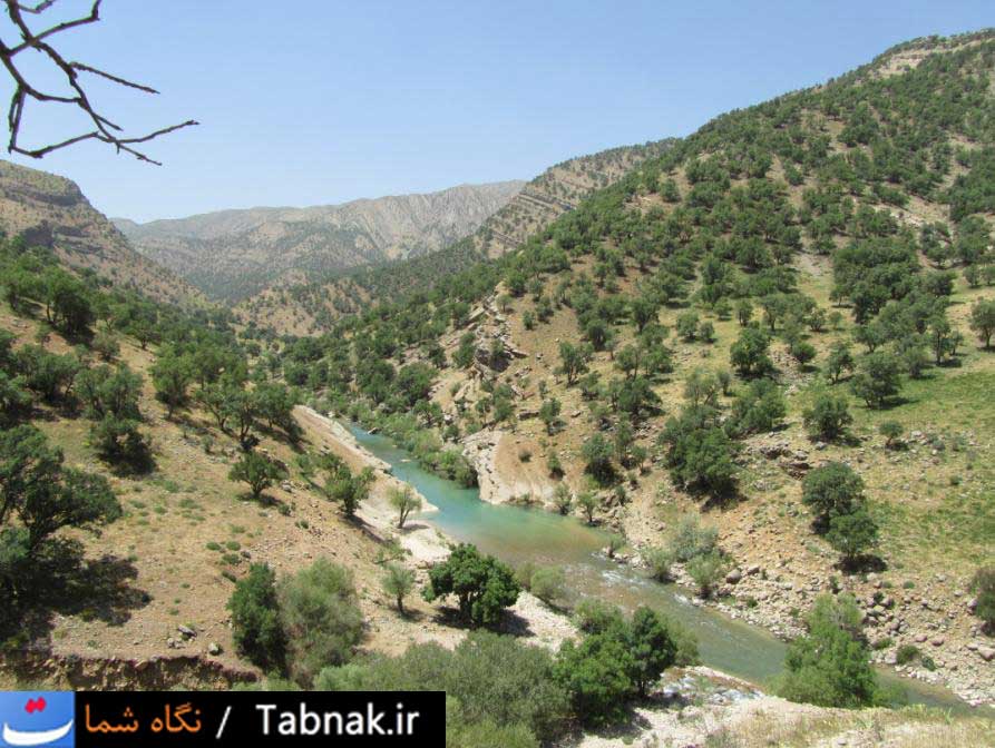 تابناک