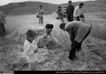 تابناک