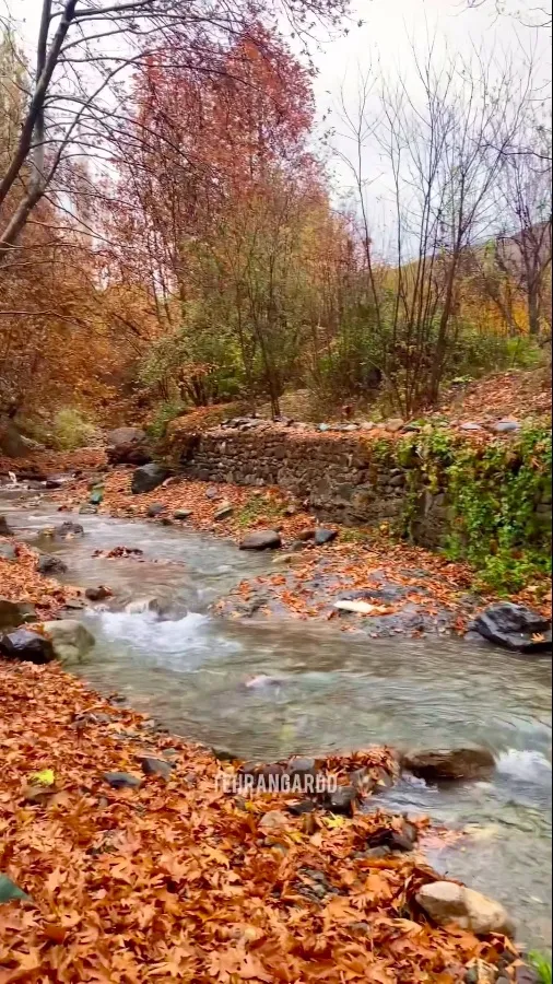 طبیعت پاییزی طبیعت پاییزی