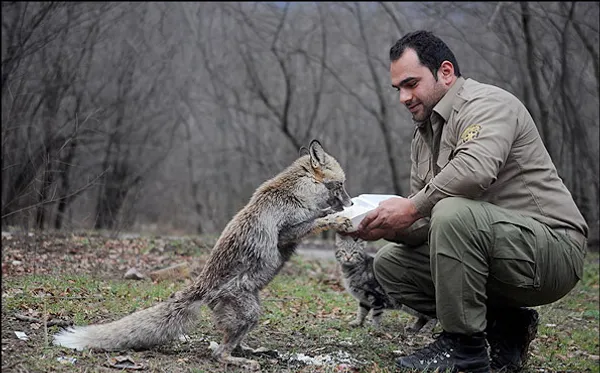 تعداد زیاد شکارچیان در استان گلستان با توجه به ذخایر غنی حیات وحش علاوه بر اینکه گونه های جانوری را در معرض خطر انقراض قرار داده باعث شده به دلیل سرب فراوانی که در طبیعت رها می شود حتی سلامتی انسان ها نیز به خطر بیافتد/مهر
