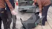 تصاویر اجساد قتل عام خانوادگی شهرک غرب