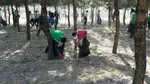 تابناک