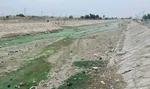 dejleh