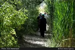 تابناک