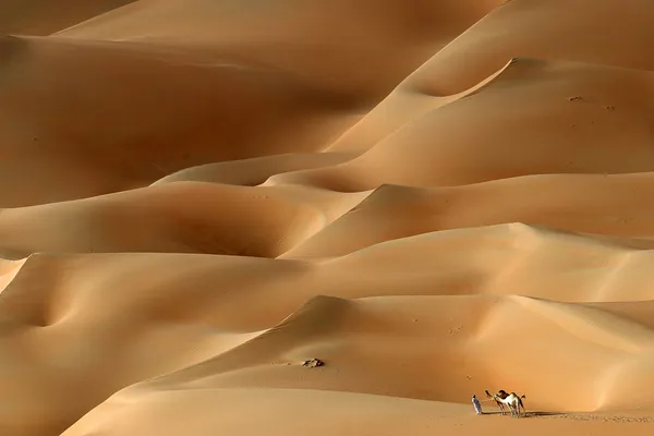 منتخب تصاویر هفته گذشته