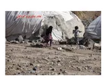 تابناک