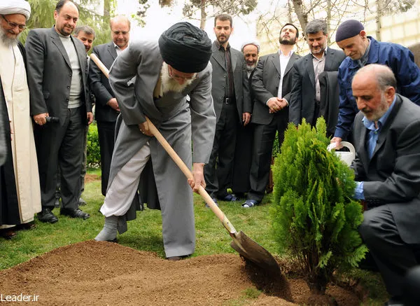 کاشت نهال همزمان با هفته منابع طبیعی توسط رهبر انقلاب