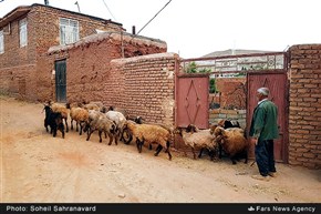 تابناک