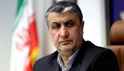 اهمیت سایت اصفهان در چرخه سوخت هسته‌ای