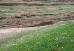 تابناک