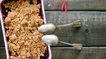 طرز تهیه کرامبل میوه‌ای؛ دسر ساده بریتانیایی با رویه ترد