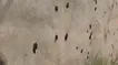 تصاویر آثار بمب وحشتناک آمریکا در لامرد