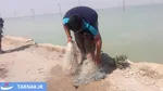 ماهیگیری
