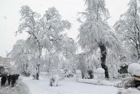 سرما در آذربایجان‌غربی رکورد زد