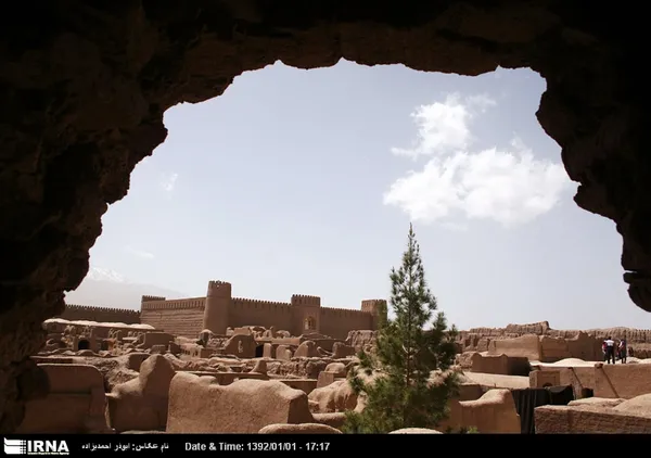 ارگ رایِن از جمله بزرگ ترین بناهای خشتی جهان در دوره ساسانی است و بالای تپه ای در جنوب غربی شهر کنونی راین در استان کرمان قرار دارد.
