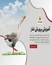 آموزش پرورش و نگهداری غاز