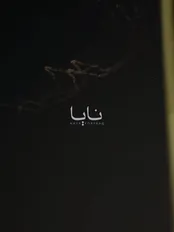 فعال شدن سامانه پاتریوت آمریکایی در اردن
