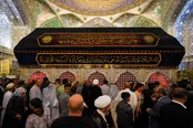 عکس | حرم امیرالمومنین (ع) در شب شهادت حضرت زهرا (س)