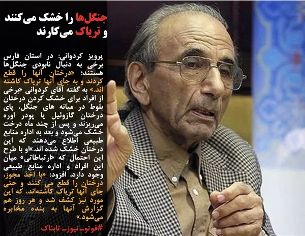 پرویز کردوانی: در استان فارس برخی به دنبال نابودی جنگل&zwnj;ها هستند؛ &laquo;درختان آنها را قطع کردند و به جای آنها تریاک کاشته اند.&raquo; به گفته آقای کردوانی &laquo;برخی از افراد برای خشک کردن درختان بلوط در میانه های جنگل، پای درختان گازوئیل یا پودر اوره می&zwnj;ریزند و پس از چند ماه درخت خشک می&zwnj;شود و بعد به اداره منابع طبیعی اطلاع می&zwnj;دهند که این درختان خشک شده اند.&raquo;او با طرح این احتمال که &laquo;ارتباطاتی&raquo; میان این افراد و اداره منابع طبیعی وجود دارد، افزود: &laquo;با اخذ مجوز، درختان را قطع می کنند و حتی جای آنها تریاک کاشته&zwnj;اند، که این مورد نیز کشف شد و هر روز هم گزارش آنها به بنده مخابره می&zwnj;شود.&raquo;
