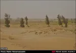 تابناک